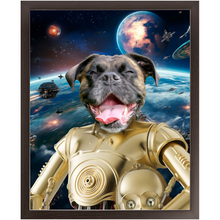 Load image into Gallery viewer, C.3.P.NO IN SPACE - C.3.P.O. & Star Wars Inspired Custom Pet Portrait Framed Satin Paper Print