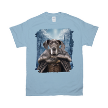 Load image into Gallery viewer, Apparel-DTG-Tshirt-Gildan-2000-3XL-LightBlue-Mens-CF-20250207204135544