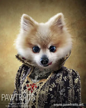 Load image into Gallery viewer, Countess Crows - Renaissance Inspired Custom Pet Portrait Canvas