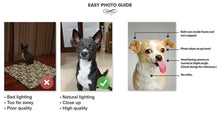 Load image into Gallery viewer, Teeny Queenie - The Queen of Hearts & Alice in Wonderland Inspired Custom Pet Portrait Canvas
