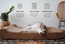 Load image into Gallery viewer, Barker Beds Orthopedic Dog Bed - 7" Pillow Top XL Size (52 X 36 X 11) - Luxury Washable Large Dog Bed with Headrest - Memory Foam Mattress for Big Dogs (Chocolate)
