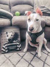 Load image into Gallery viewer, Jest Kidding - Jester, Clowns & Renaissance Inspired Custom Pet Portrait Canvas