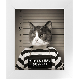 The Usual Suspect - Gangster Mugshot Inspired Custom Pet Portrait Framed Satin Paper Print