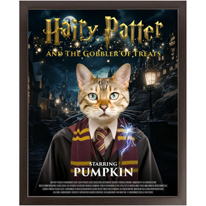 HAIRY PATTER Movie Poster - Harry Potter Inspired Custom Pet Portrait Framed Satin Paper Print
