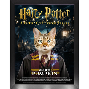 HAIRY PATTER Movie Poster - Harry Potter Inspired Custom Pet Portrait Framed Satin Paper Print