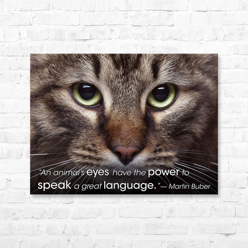 Pet Quote Canvas Wrap - “An animal’s eyes have the...