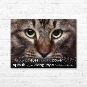 Pet Quote Canvas Wrap - “An animal’s eyes have the...