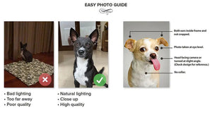 Earl E. Riser - Renaissance Inspired Custom Pet Portrait Canvas