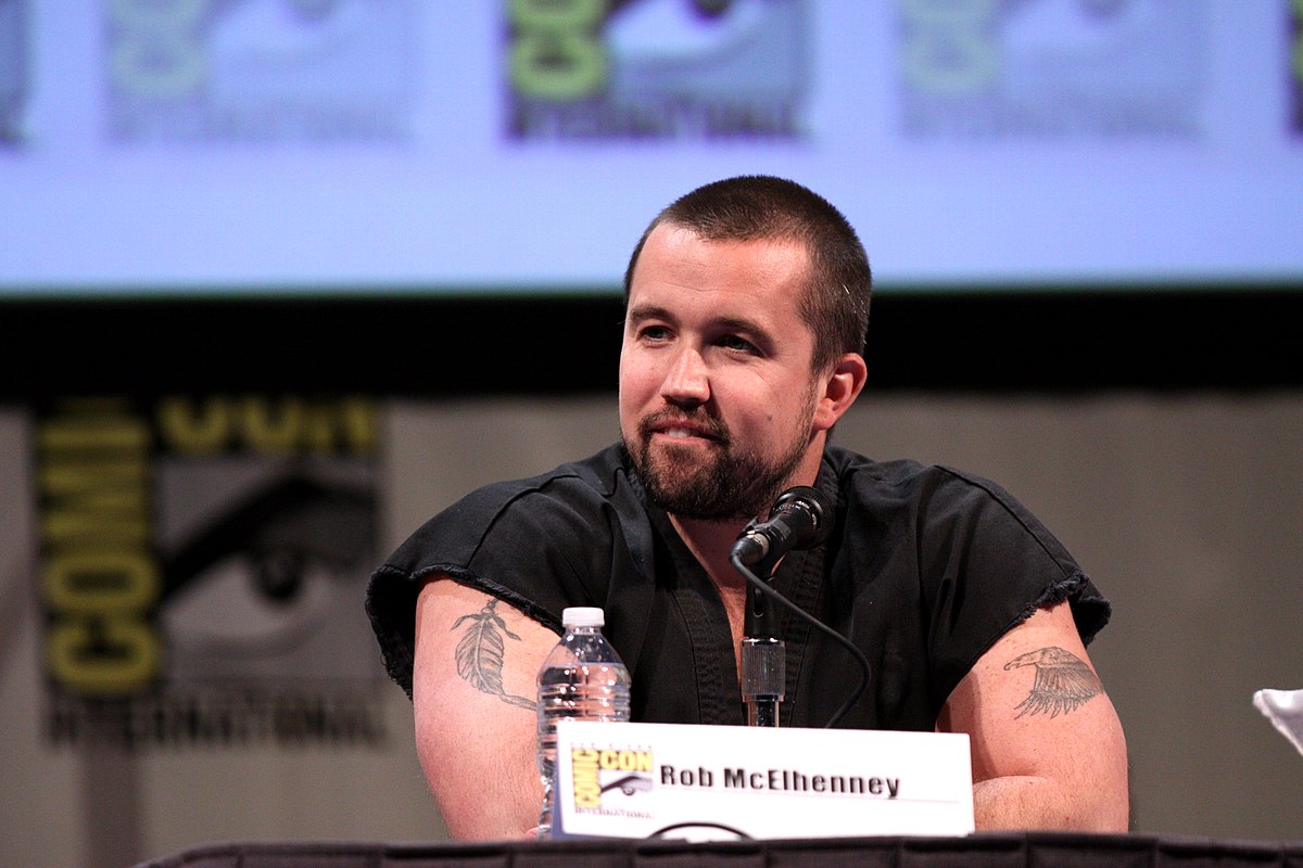 Rob McElhenney addressing the audience at the Comicon event.