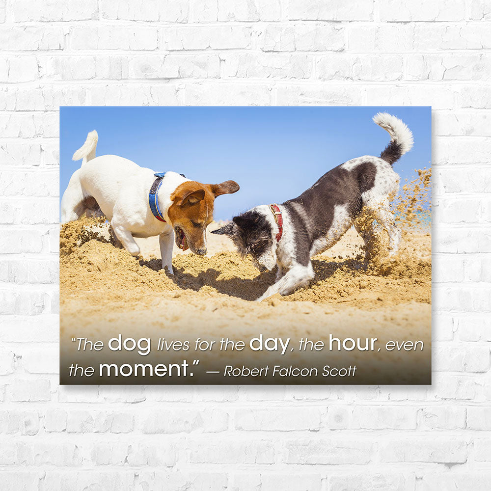 Dog Quote Canvas Wrap - “The dog lives for the day, the hour...