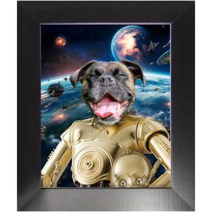 C.3.P.NO IN SPACE - C.3.P.O. & Star Wars Inspired Custom Pet Portrait Framed Satin Paper Print