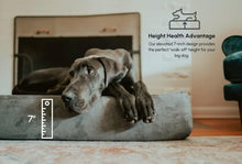 Load image into Gallery viewer, Barker Beds Orthopedic Dog Bed - 7&quot; Pillow Top XL Size (52 X 36 X 11) - Luxury Washable Large Dog Bed with Headrest - Memory Foam Mattress for Big Dogs (Chocolate)