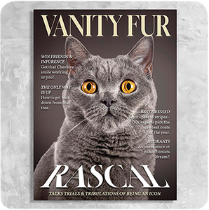 Vanity Fur Magazine Cover Featuring a Cat with imaginary article titles- Personalized Gift for Cat Owners