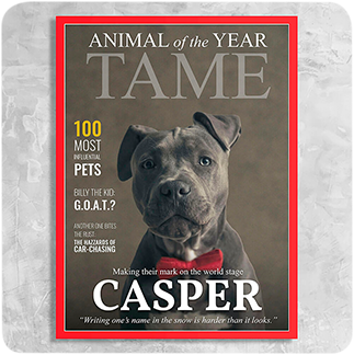 Tame Magazine Cover Featuring a Dog with imaginary article titles- Personalized Gift for Dog Owners