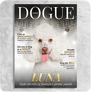 Dogue Magazine Cover Featuring a Dog with imaginary article titles- Personalized Gift for Dog Owners