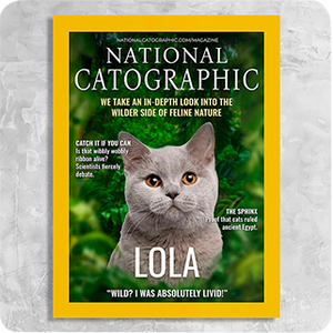 National Catographic Magazine Cover Featuring a Cat with imaginary article titles- Custom Gift for Cat Owners