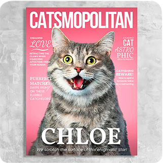 Catsmopolitan Magazine Cover Featuring a Cat with imaginary article titles- Personalized Gift for Cat Owners
