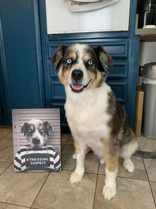 The Usual Suspect - Gangster Mugshot Inspired Custom Pet Portrait Canvas