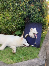Load image into Gallery viewer, To The Moon - Frank Sinatra &amp; Singer Inspired Custom Pet Portrait Canvas