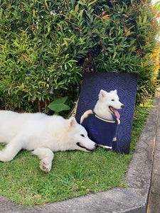 To The Moon - Frank Sinatra & Singer Inspired Custom Pet Portrait Canvas