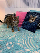 Load image into Gallery viewer, To The Moon - Frank Sinatra &amp; Singer Inspired Custom Pet Portrait Canvas