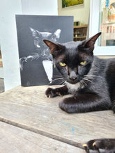 Load image into Gallery viewer, The Dogfather - Godfather, Gangster &amp; Mafia Inspired Custom Pet Portrait Canvas