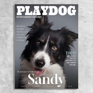 Playdog Magazine Cover Featuring a Dog with imaginary article titles- Personalized Gift for Dog Owners