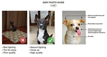 Load image into Gallery viewer, To The Moon - Frank Sinatra &amp; Singer Inspired Custom Pet Portrait Canvas