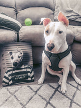 Load image into Gallery viewer, To The Moon - Frank Sinatra &amp; Singer Inspired Custom Pet Portrait Canvas
